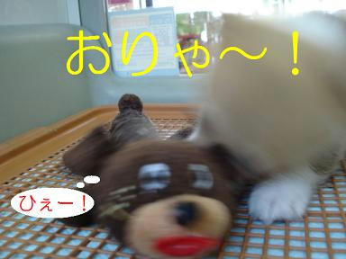 DSC07143.JPG
