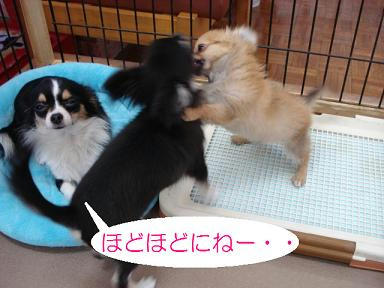 DSC07228.JPG