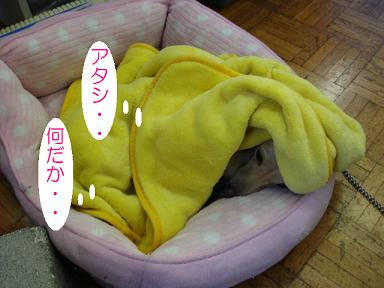 DSC07164.JPG
