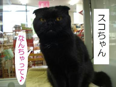 DSC07295.JPG