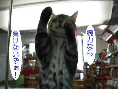 DSC07313.JPG