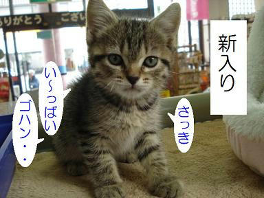 DSC07262.JPG