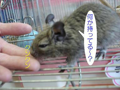 DSC07371.JPG