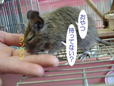 DSC07375.JPG
