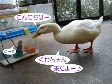 DSC07459.JPG