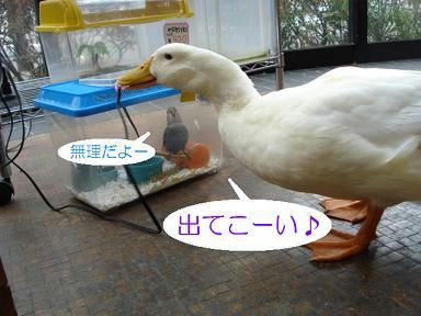 3b3c87be.jpeg