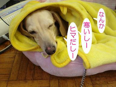 DSC07700.JPG