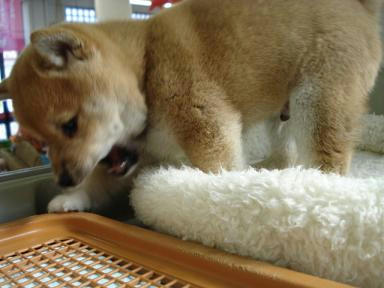 DSC07826.JPG