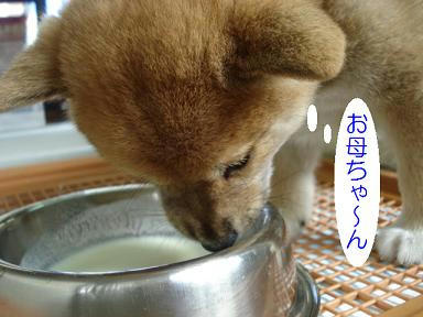 DSC07805.JPG