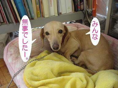 DSC07984.JPG