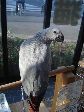 DSC08003.JPG