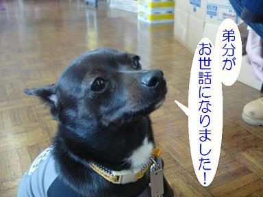 DSC07969.JPG