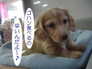 DSC08087.JPG