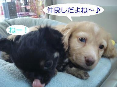 DSC08141.JPG