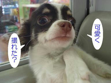 DSC08452.JPG