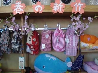 DSC08505.JPG