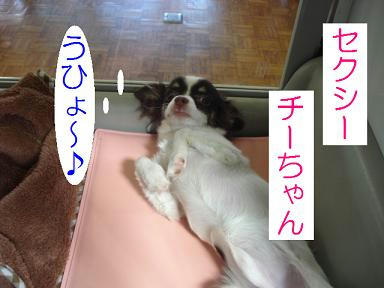 DSC08511.JPG