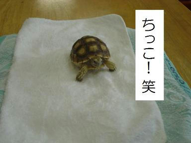 b3b4444c.jpeg