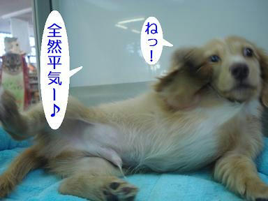 DSC08700.JPG