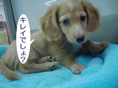 DSC08705.JPG
