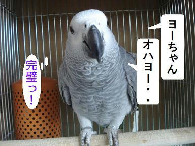 DSC08768.JPG