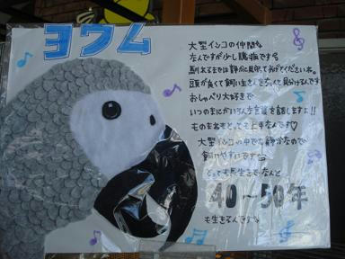 DSC08766.JPG