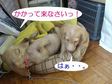 DSC08799.JPG