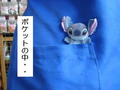 DSC08850.JPG