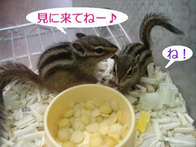 DSC08917.JPG