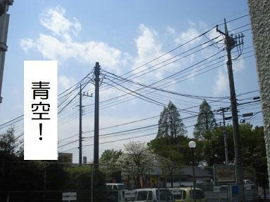 DSC09175.JPG