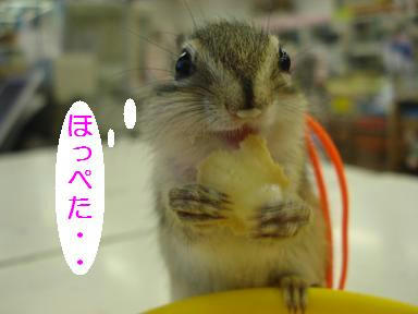 DSC09192.JPG