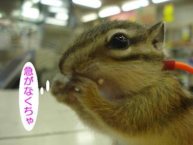 DSC09205.JPG