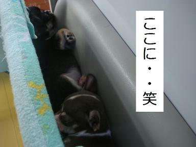 DSC09373.JPG