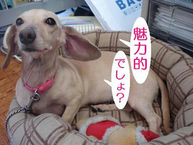 DSC09711.JPG