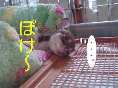 DSC09801.JPG