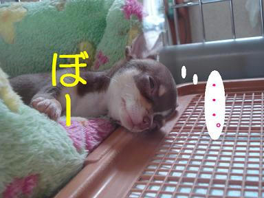 DSC09800.JPG