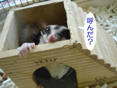 DSC09834.JPG