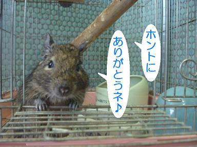 DSC00042.JPG