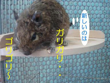 DSC00078.JPG