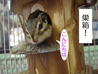 DSC00057.JPG