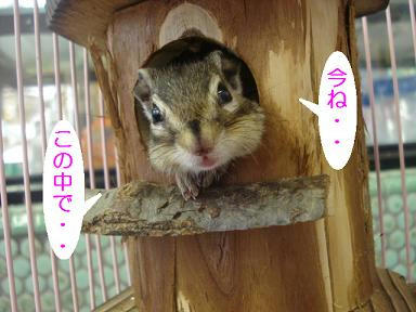 DSC00060.JPG