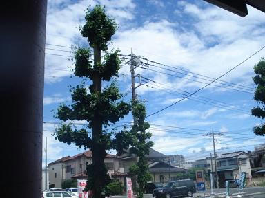 DSC00205.JPG