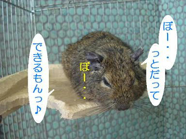 DSC00213.JPG