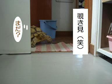 1a07d834.jpeg