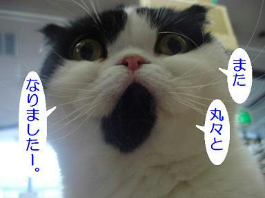 DSC00403.JPG