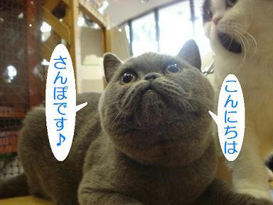 DSC00392.JPG
