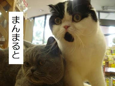 DSC00395.JPG