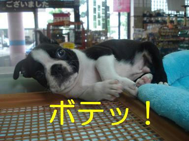 DSC00510.JPG