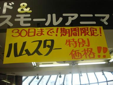 b21453d5.jpeg