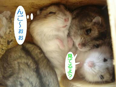 DSC00653.JPG